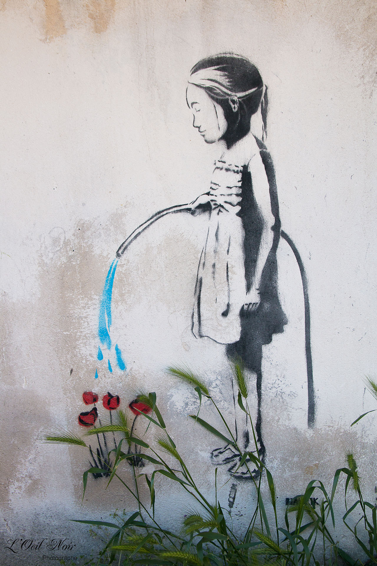 L' Oeil Noir Photographe